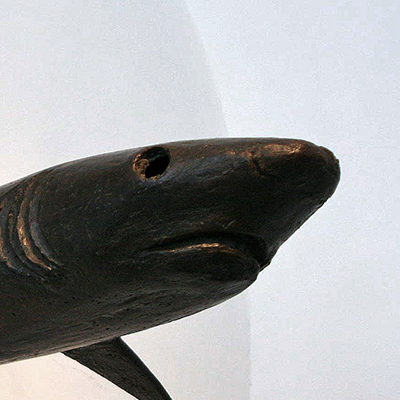 Sharks