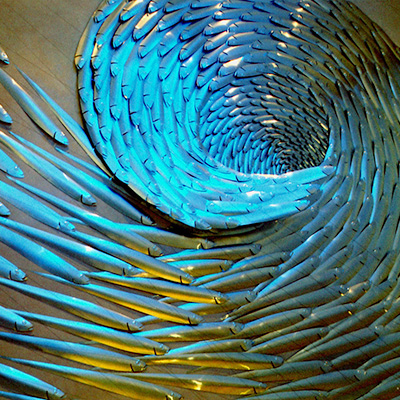  Vortex Emigration