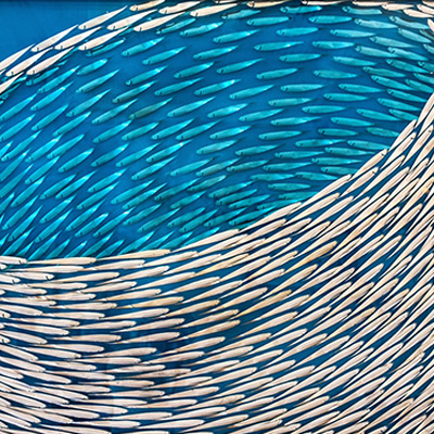 Vortex
