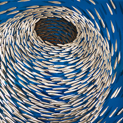 Vortex