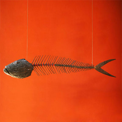Fishbone