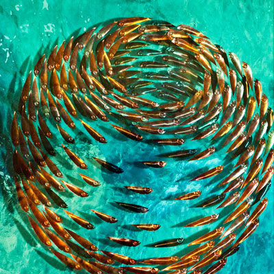 Acqua