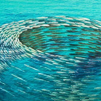 Acqua