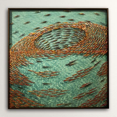 Acqua 