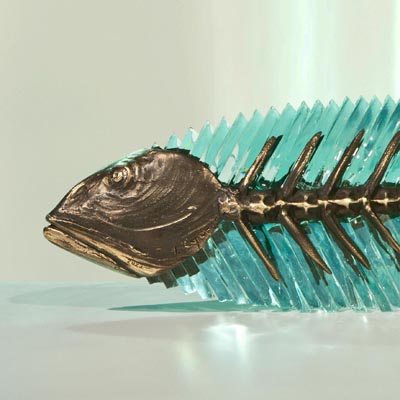 Frozen Fish