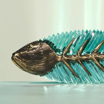 Frozen Fish