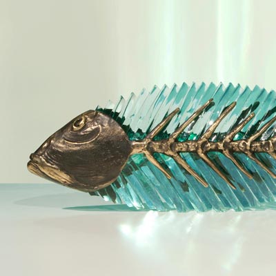 Frozen Fish