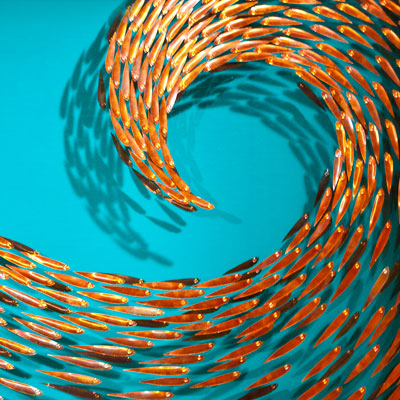 Vortex