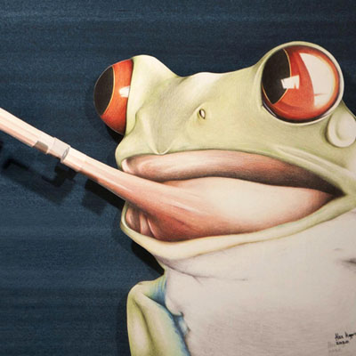 Red-eyed Tree Frog