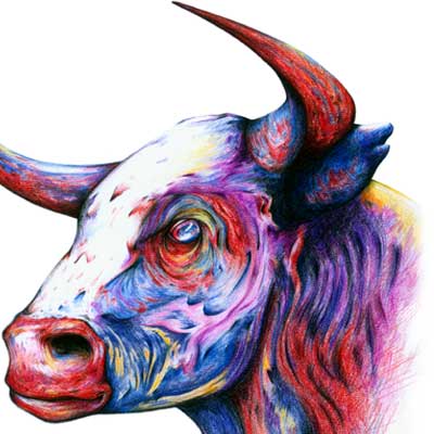 Bull Archive