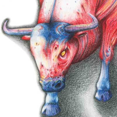 Bull