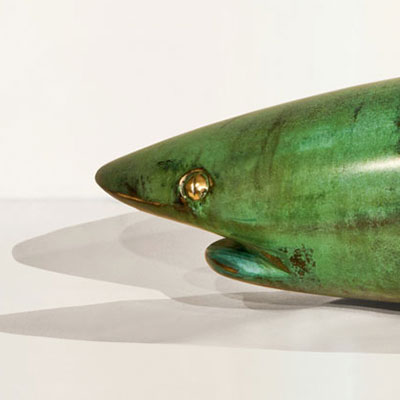 DOLPHIN-SHARK