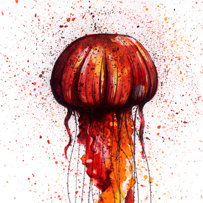 Jellyfish